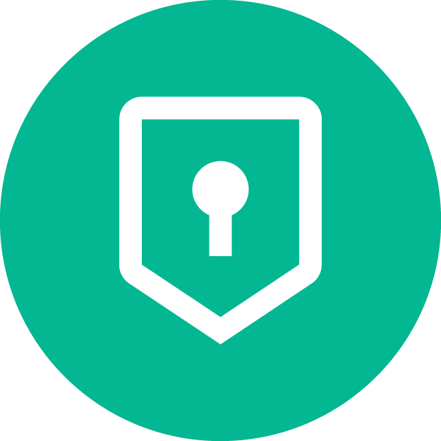 data privacy consulting icon