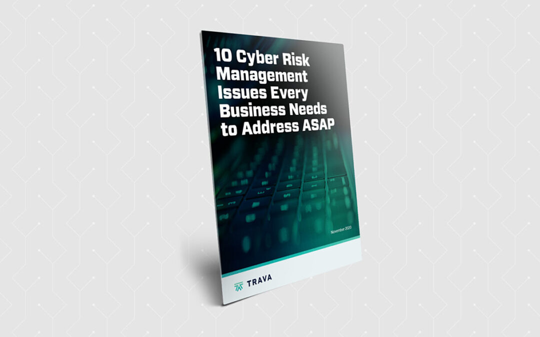 Learn about the 10 Cyber Risk Management Issues Every Business Needs to Address