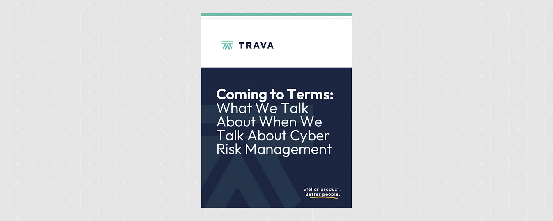 Coming to Terms: What We Talk About When We Talk About Cyber Risk Management