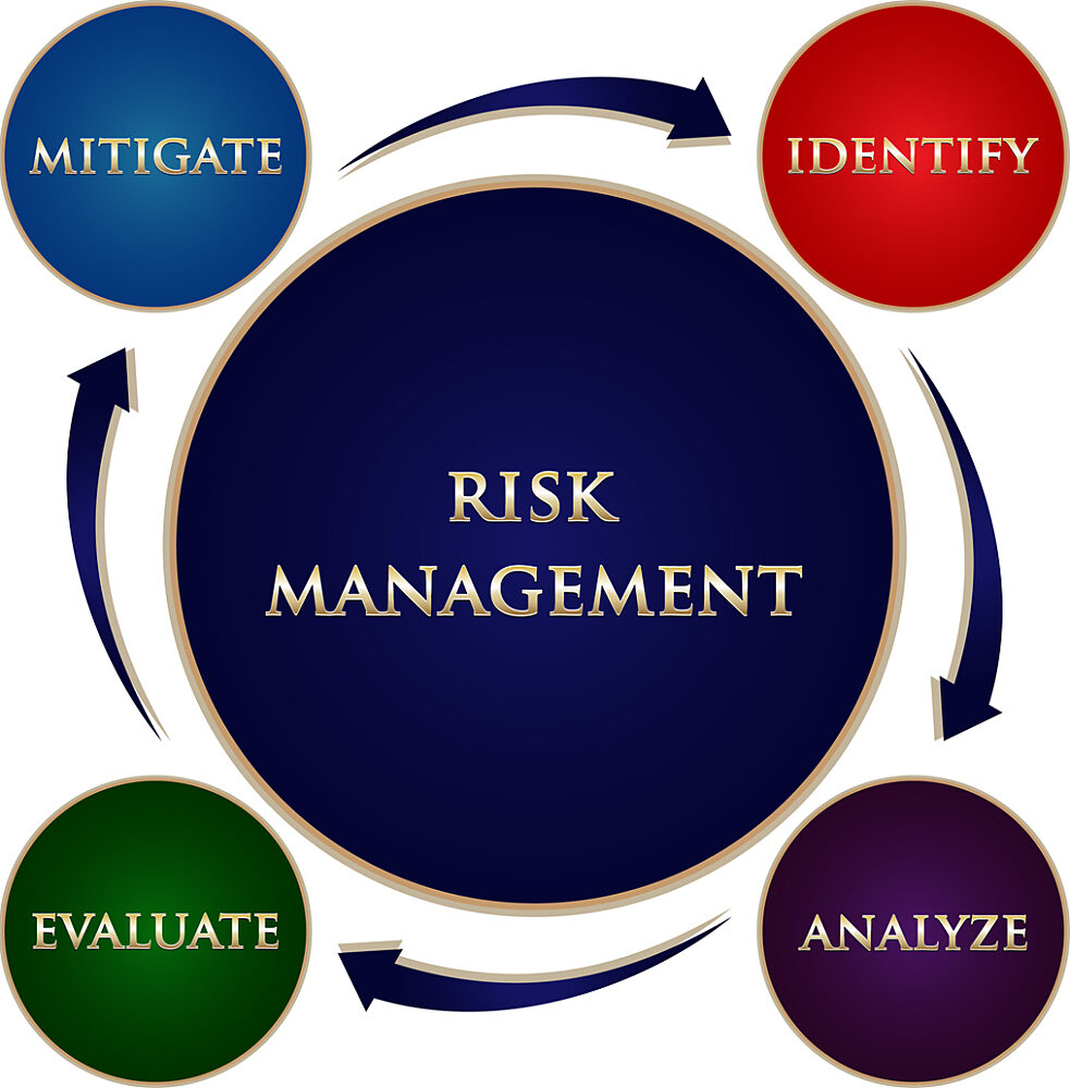 Risk Management infographic.